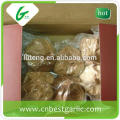 Wholesale black fresh garlic